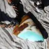Petrify Blue Opal wood Talisman,Elven Jewelry,Opalized wood, OPAL Pendant,Petrified Wood,Macrame Cord,Hamsa,Nazar