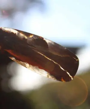 Alternative view of Australian made Opalized wood Opal Necklace macrame cord, Elven Petrify wood,OPAL Pendant,Petrified Wood,summer beach jewelry, black stone