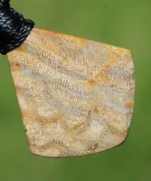 Alternative view of Cooktown CORAL FOSSIL crystal Necklace, Ancient Gemstone Jewelry,  Australian Tropical Wax Cord Pendant, Australian Rainforest Alchemy