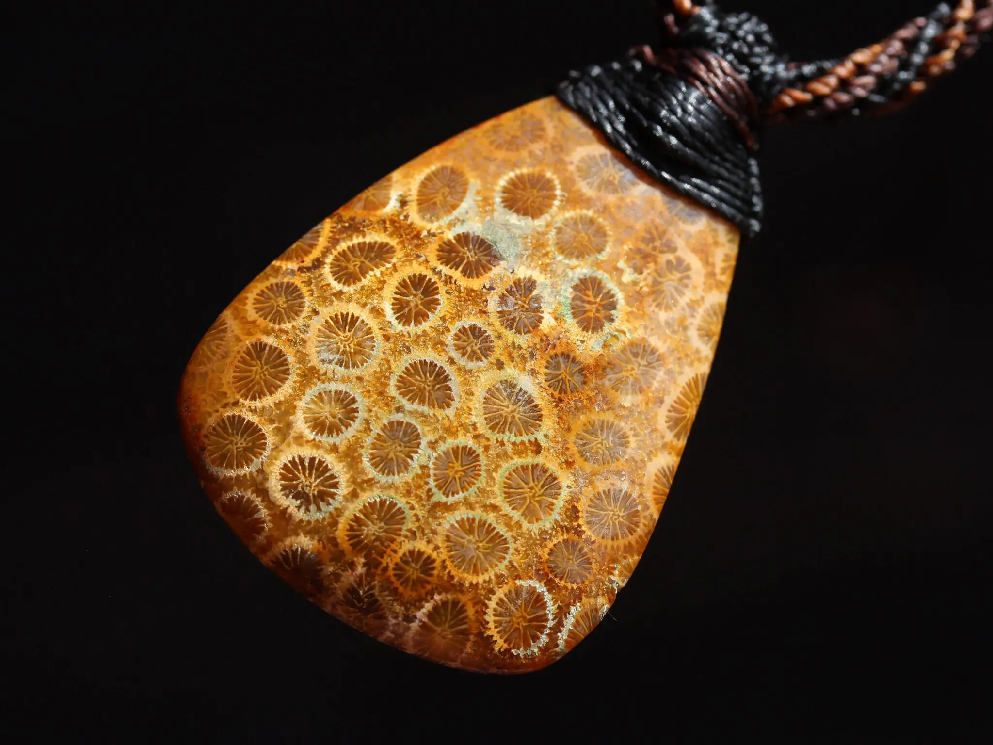 Ancient Red Coral Fossil Necklace • Healing Crystal Talisman • Elven Gemstone Pendant • Australian tropical cord , Summer surfer necklace - Image 8