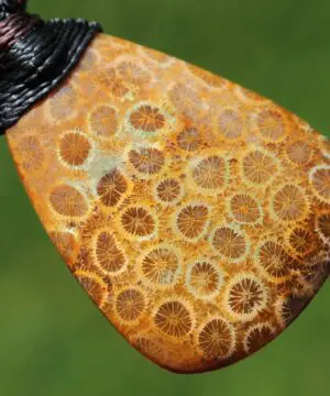 Alternative view of Ancient Red Coral Fossil Necklace • Healing Crystal Talisman • Elven Gemstone Pendant • Australian tropical cord , Summer surfer necklace