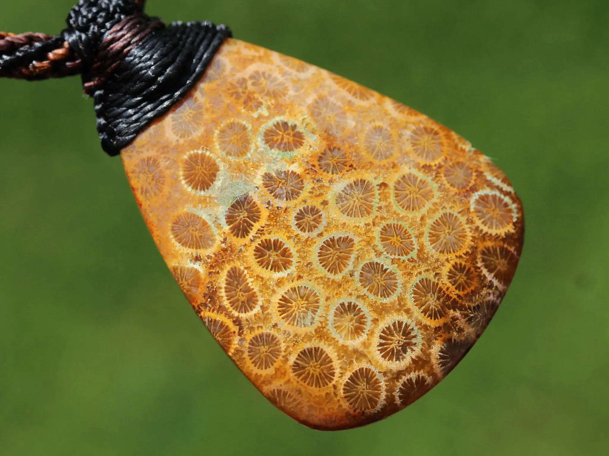 Ancient Red Coral Fossil Necklace • Healing Crystal Talisman • Elven Gemstone Pendant • Australian tropical cord , Summer surfer necklace - Image 2