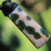 8th vein OCEAN JASPER Pendant, Australian handmade crystal necklace talisman,Australian handwoven tropical cord rainforest alchemy necklace