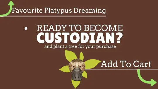 Mystery MOLDAVITE Necklace, Authentic Genuine Moldavite Pendant, Australian made Macrame Cord Healing Crystal Jewelry, Raw crystal