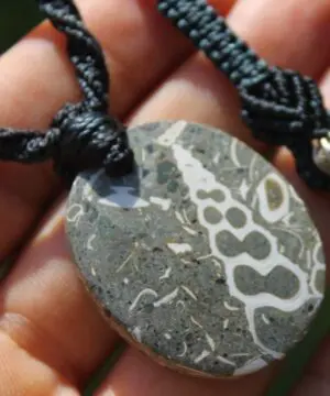 Alternative view of Elimia Agate necklace, turritella agate pendant , elven jewelry, australian made macrame cord , male and female Jewellery, grey stone,viking