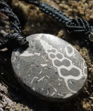 Elimia Agate necklace, turritella agate pendant , elven jewelry, australian made macrame cord , male and female Jewellery, grey stone,viking