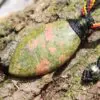 Unakite Talisman Necklace, Raw Unakite Pendant, Heart Chakra Healing, Boho Gemstone Necklace, Macrame cord,Handmade  Healing Crystal Jewelry