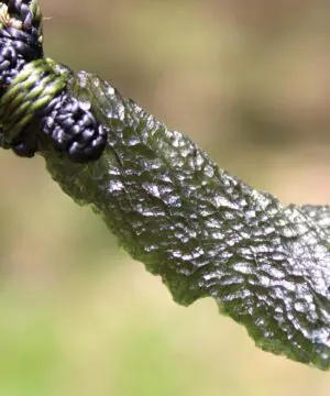 Genuine MOLDAVITE Pendant Australian Made ,Raw Authentic Tektite Jewelry, Moldavite Crystal necklace, Macrame cord ,Elven Elf jewelry