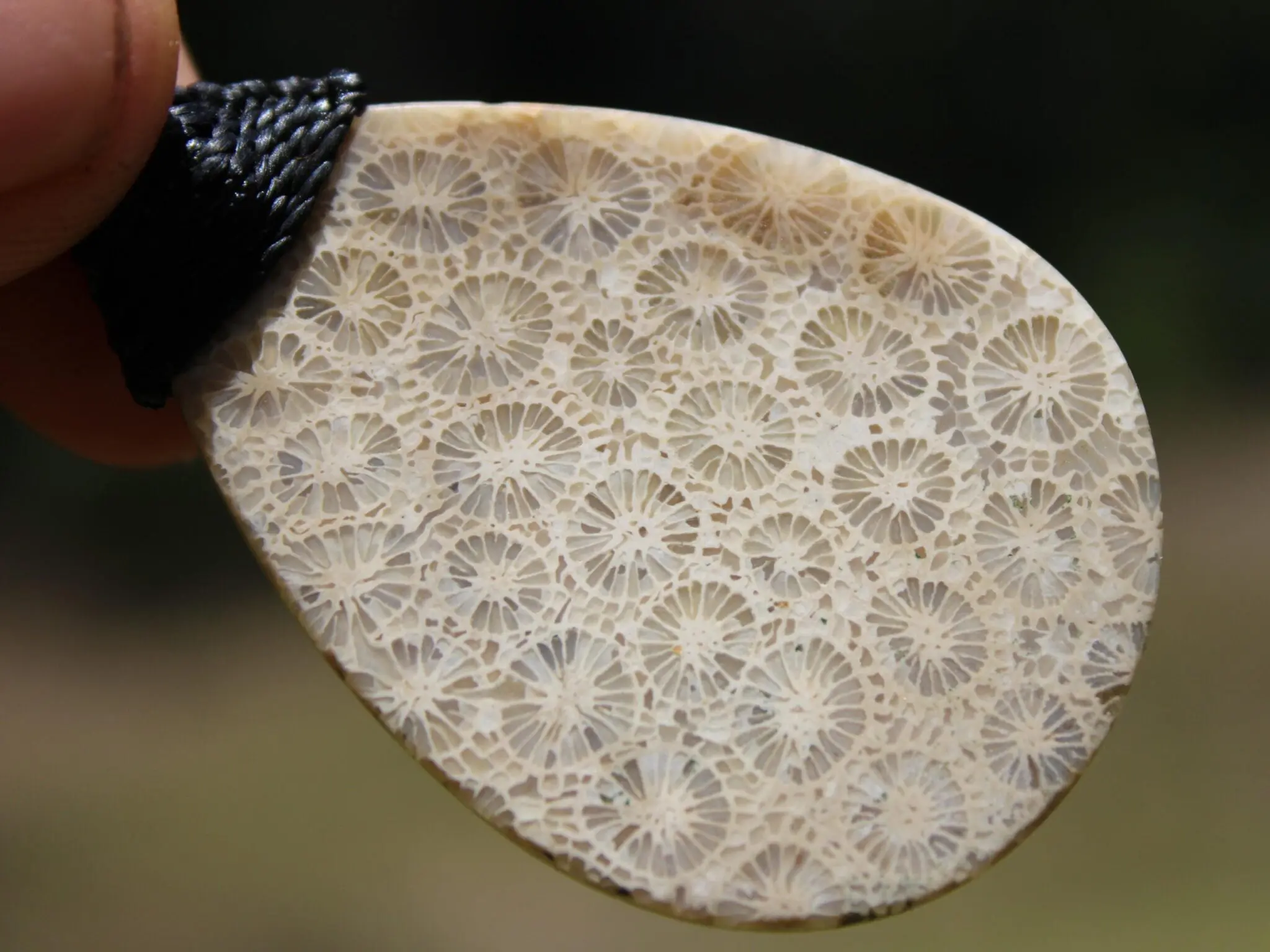 Cooktown CORAL FOSSIL crystal Necklace, Ancient Gemstone Jewelry, Australian Macrame Cord surfer Pendant , Australian Rainforest Alchemy - Image 6