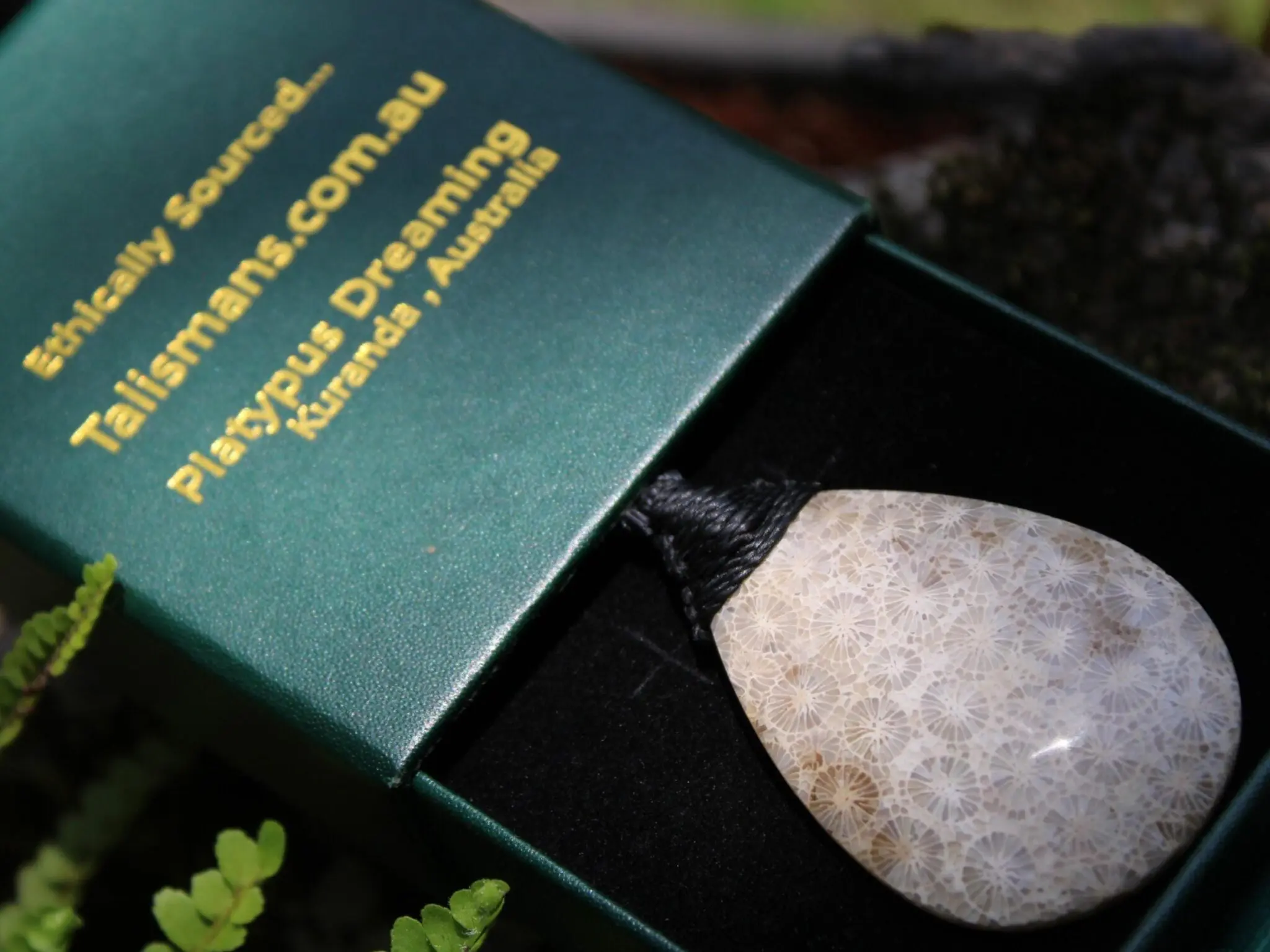 Cooktown CORAL FOSSIL crystal Necklace, Ancient Gemstone Jewelry, Australian Macrame Cord surfer Pendant , Australian Rainforest Alchemy - Image 10