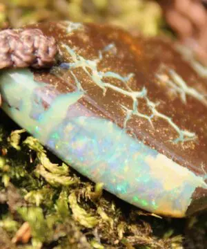 Australian boulder gel opal necklace, Australian handmade , handwoven tropical cord jewellery, Australian opal jewelry, October birthstone