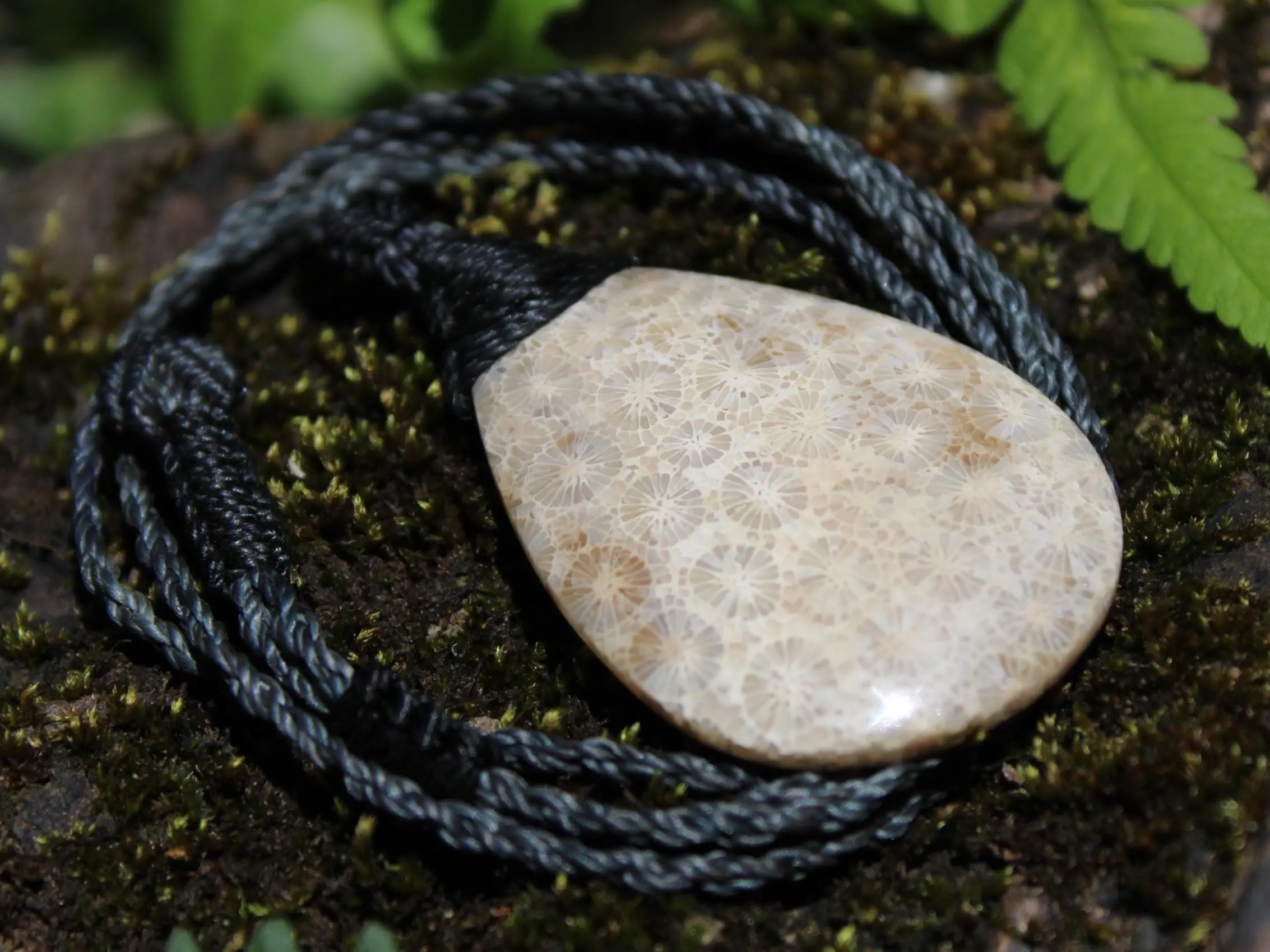 Cooktown CORAL FOSSIL crystal Necklace, Ancient Gemstone Jewelry, Australian Macrame Cord surfer Pendant , Australian Rainforest Alchemy - Image 7