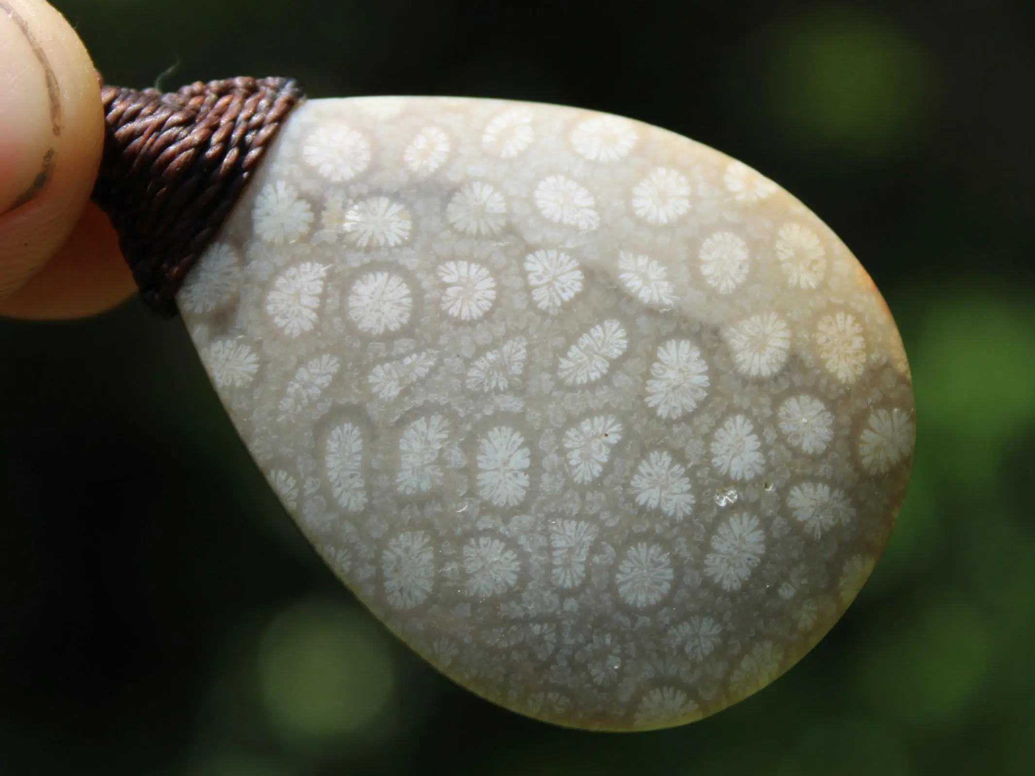 Australian Fossilized Coral Necklace • One-of-a-Kind Crystal Talisman • Handmade Adjustable Pendant on Waxed Tropical Cord, surfer Pendant - Image 3