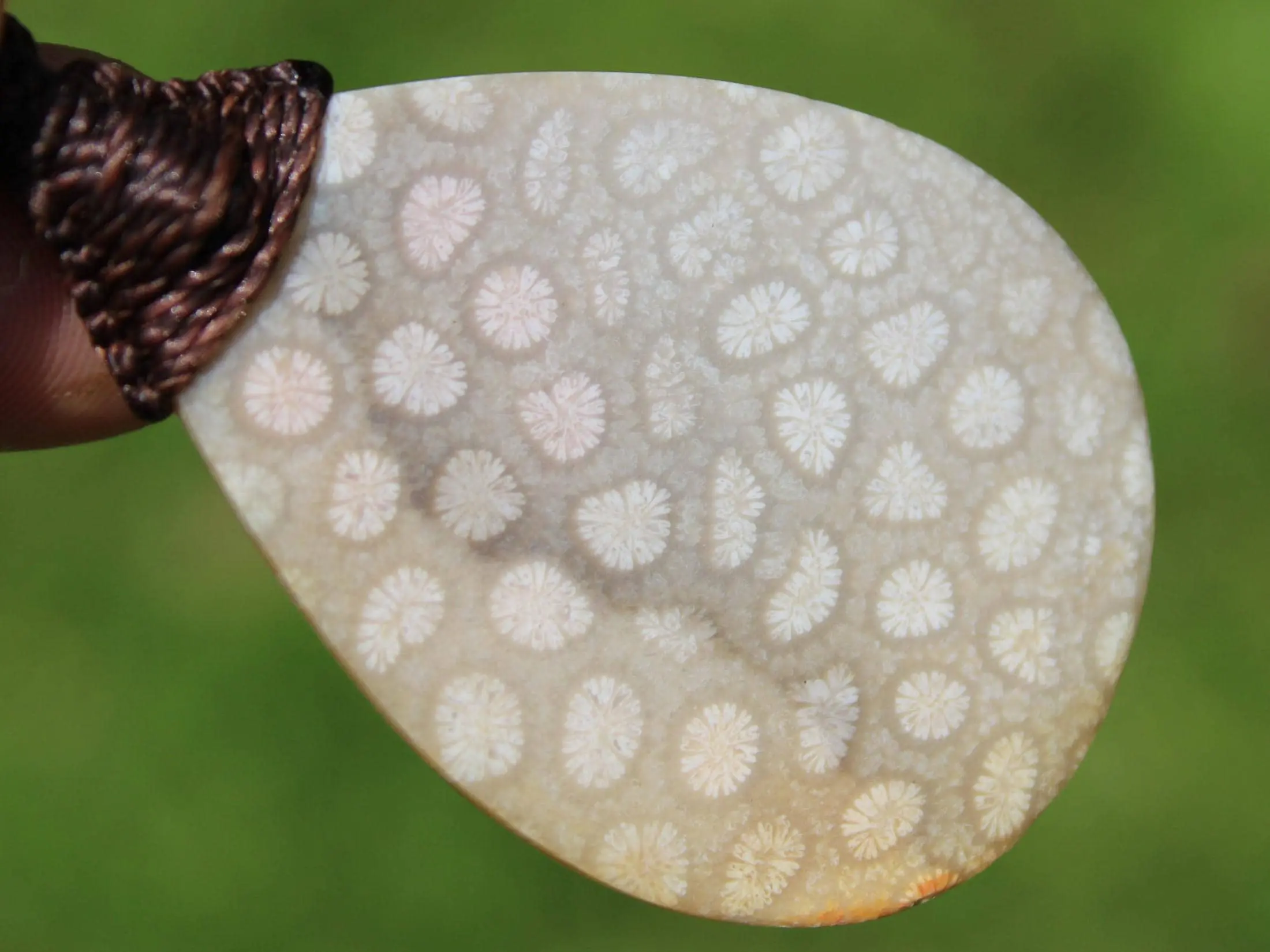 Australian Fossilized Coral Necklace • One-of-a-Kind Crystal Talisman • Handmade Adjustable Pendant on Waxed Tropical Cord, surfer Pendant - Image 8