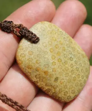 Alternative view of Australian Fossilized orange Coral Necklace, One-of-a-Kind Crystal Talisman, Handmade Adjustable Pendant on Australian Tropical Cord Pendant