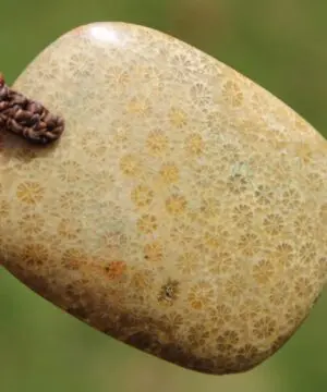 Australian Fossilized orange Coral Necklace, One-of-a-Kind Crystal Talisman, Handmade Adjustable Pendant on Australian Tropical Cord Pendant