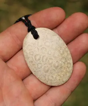 Australian multi stone agatized fossil coral ,Australian red tigereye, Australian handmade , handwoven tropical cord, healing jewelry