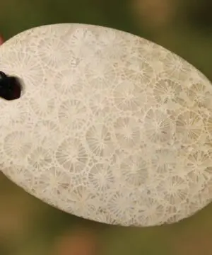 Australian multi stone agatized fossil coral ,Australian red tigereye, Australian handmade , handwoven tropical cord, healing jewelry