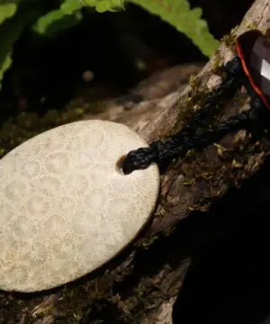 Australian multi stone agatized fossil coral ,Australian red tigereye, Australian handmade , handwoven tropical cord, healing jewelry