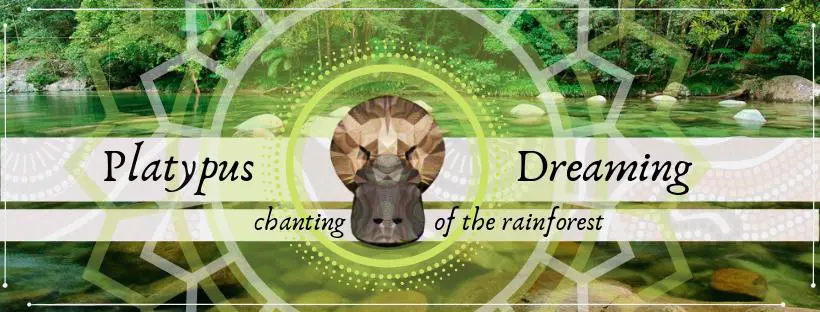 Elven Fossil Coral 8th vein OCEAN JASPER Pendant crystal Necklace, Gemstone Jewelry tropical Cord, beachy beach, summer necklace jewelry - Image 15