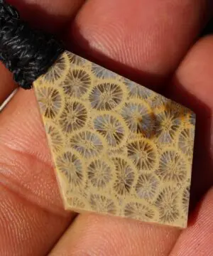 Cooktown Fossil Agate Coral Necklace talisman, One-of-a-Kind Crystal Talisman, Australian Handmade handwoven Waxed Tropical Cord Pendant