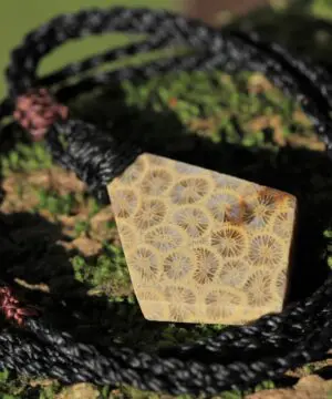 Cooktown Fossil Agate Coral Necklace talisman, One-of-a-Kind Crystal Talisman, Australian Handmade handwoven Waxed Tropical Cord Pendant