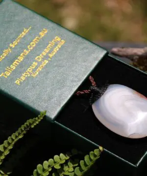 Australian Lace Agate Necklace • Agate Creek Pendant • Tribal Healing Crystal Talisman • Handwoven Tropical Cord