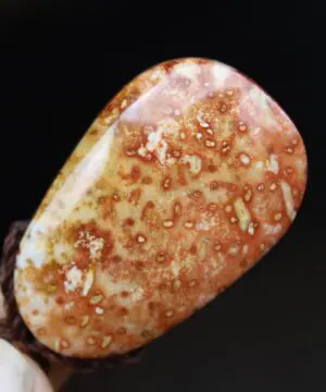 Elven Petrify Palmwood Pendant, Petrified Fossil Palm Necklace, Healing Jewelry, Australian made Macrame Cord, Elf cosplay