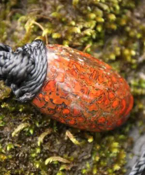 American Red Dinosaur Fossil Jewelry, Elven Pendant with Silver Beads , Utah Dinosaur bone ,Ancient Fossil Power, Tribal Talisman Pendant