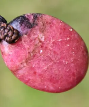 Australian Rhodonite Necklace, Tribal pendant. Macrame necklace, Heart Chakra stone Jewelry, PINK SONE jewelry, Taurus elf NECKLACE