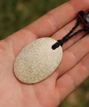 Australian multi stone agatized fossil coral ,Australian red tigereye, Australian handmade , handwoven tropical cord, healing jewelry