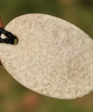 Australian multi stone agatized fossil coral ,Australian red tigereye, Australian handmade , handwoven tropical cord, healing jewelry