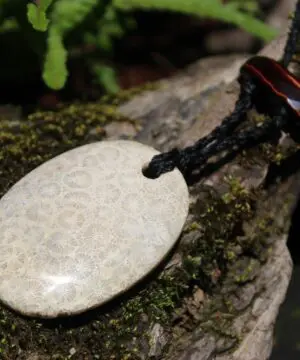 Australian multi stone agatized fossil coral ,Australian red tigereye, Australian handmade , handwoven tropical cord, healing jewelry