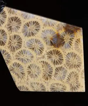 Cooktown Fossil Agate Coral Necklace talisman, One-of-a-Kind Crystal Talisman, Australian Handmade handwoven Waxed Tropical Cord Pendant