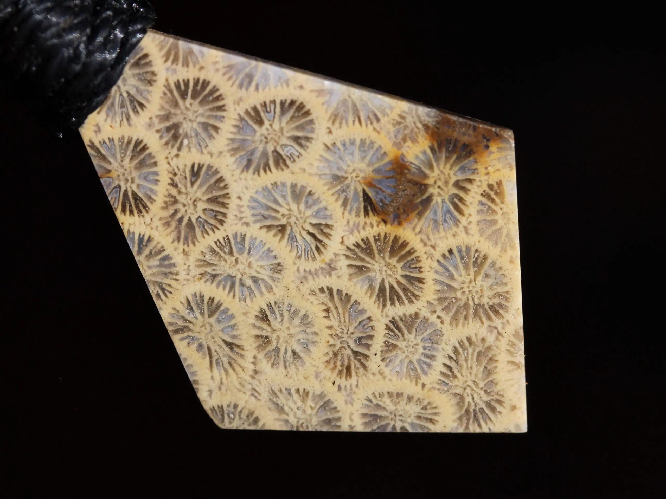 Cooktown Fossil Agate Coral Necklace talisman, One-of-a-Kind Crystal Talisman, Australian Handmade handwoven Waxed Tropical Cord Pendant