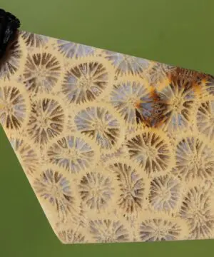 Cooktown Fossil Agate Coral Necklace talisman, One-of-a-Kind Crystal Talisman, Australian Handmade handwoven Waxed Tropical Cord Pendant