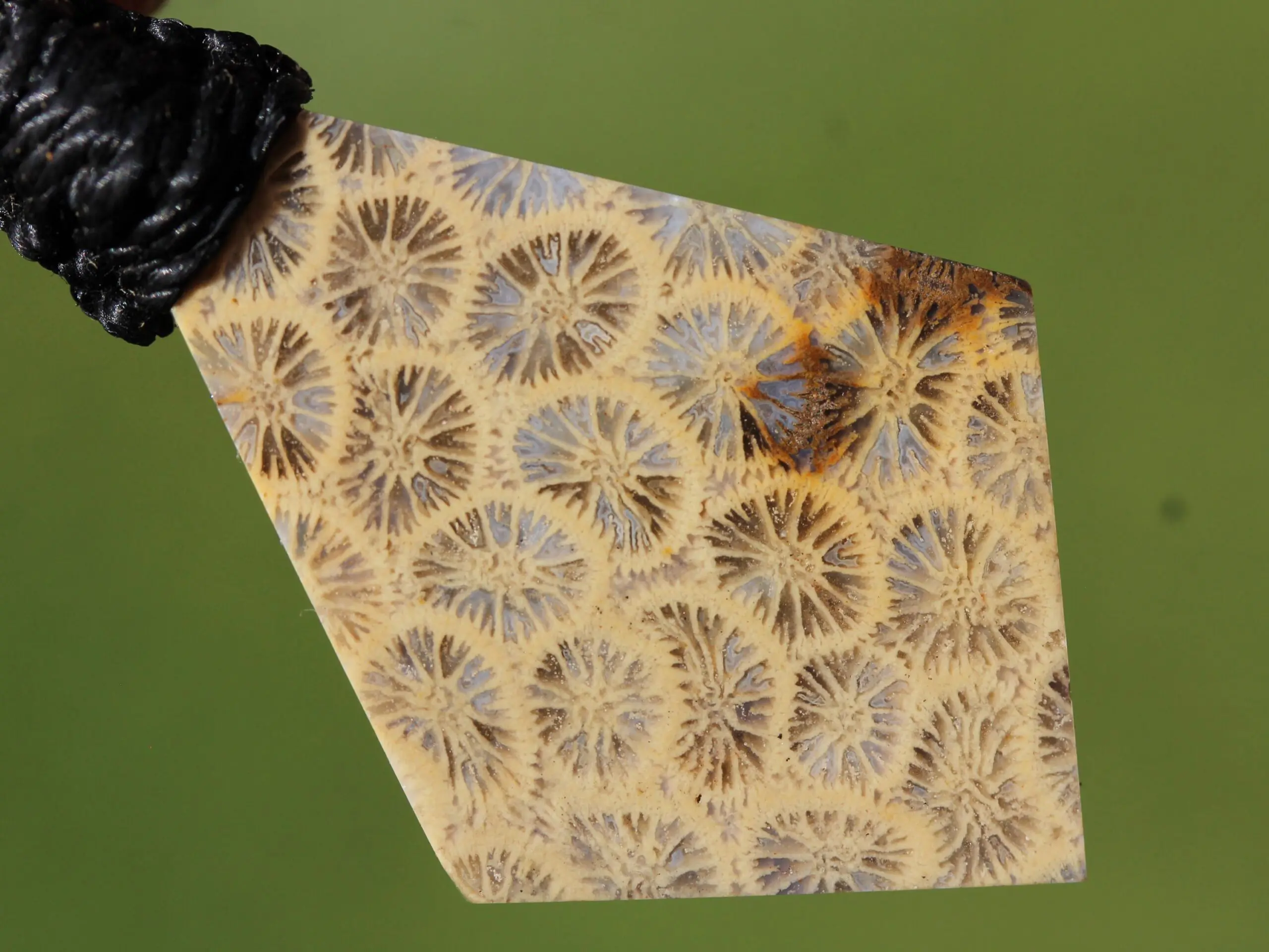 Cooktown Fossil Agate Coral Necklace talisman, One-of-a-Kind Crystal Talisman, Australian Handmade handwoven Waxed Tropical Cord Pendant