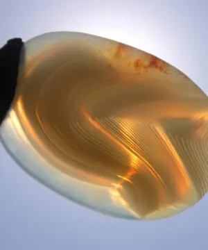 Australian Lace Agate Necklace • Agate Creek Pendant • Tribal Healing Crystal Talisman • Handwoven Tropical Cord