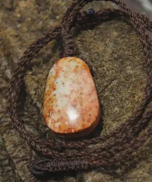 Elven Petrify Palmwood Pendant, Petrified Fossil Palm Necklace, Healing Jewelry, Australian made Macrame Cord, Elf cosplay