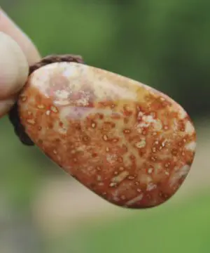 Elven Petrify Palmwood Pendant, Petrified Fossil Palm Necklace, Healing Jewelry, Australian made Macrame Cord, Elf cosplay