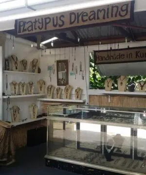 Tasmanian Serpentine Pendant, Australian Atlantisite Necklace • Australian Handmade Talisman, Australian handwoven tropical cord