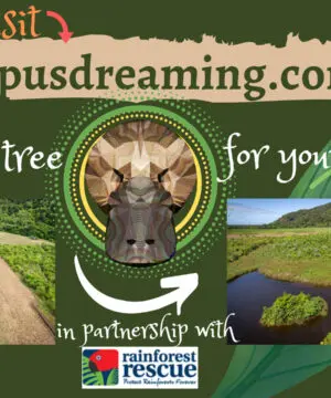 Tourmaline Necklace • Afghan Tourmaline Pendant • Raw Green Blue Crystal Talisman • Australian Handmade • Handwoven Tropical Cord