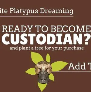 Mystery MOLDAVITE Necklace, Authentic Genuine Moldavite Pendant, Australian made Macrame Cord Healing Crystal Jewelry, Raw crystal