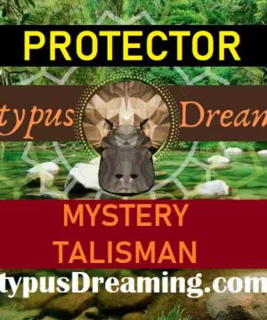 Mystery PROTECTOR Stone Necklace, Protection Crystal Stone Pendant, Australian made Macrame Cord Healing Protection Jewelry,