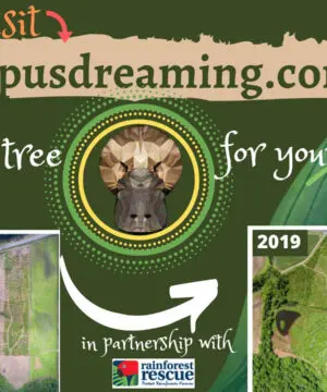 Australian Outback Jasper Pendant Necklace • Australian Handmade Handwoven Tropical Cord • Earthy Tribal Healing Stone Jewelry