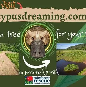 Australian Angelic Agate Necklace , agate creek pendant, Australian handmade handwoven tropical cord , Agate Pendant necklace