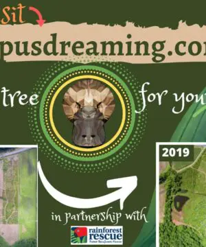 Australian Purple Boulder OPAL Pendant Necklace, Solid Boulder Opal jewelry, Australian Made Tropical Macrame Wax Cord Healing Jewelry