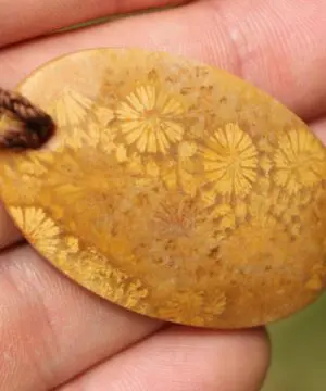 Orange Fossil Coral Necklace • Calligraphy Stone Talisman • Handmade Healing Jewelry • Australian handmade, handwoven tropical Cord Pendant