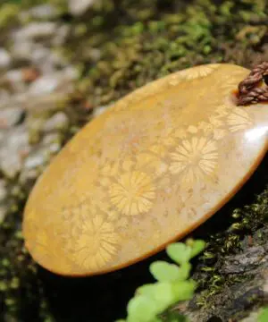 Orange Fossil Coral Necklace • Calligraphy Stone Talisman • Handmade Healing Jewelry • Australian handmade, handwoven tropical Cord Pendant