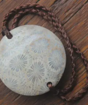 Fossilised Coral Bracelet Talisman, Australian handmade crystal healing jewellery, natural stone, March Birthstone